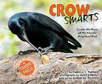 Crow Smars
