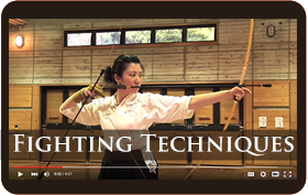Fighting Techniques